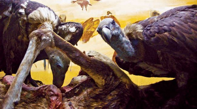 2008: Extinct