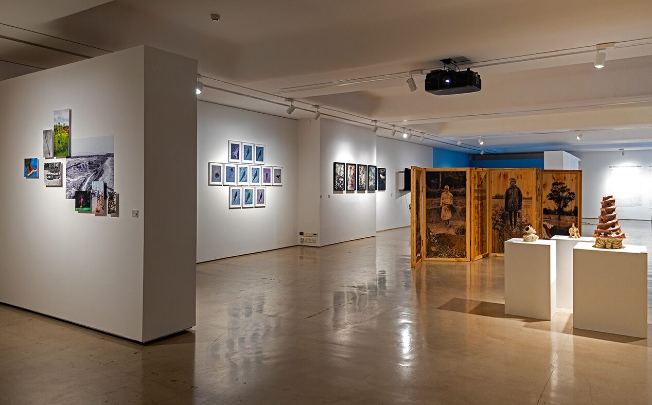 Gallery Walkthrough: New Natures – A Terrible Beauty is Born | Curated by Ravi Agarwal