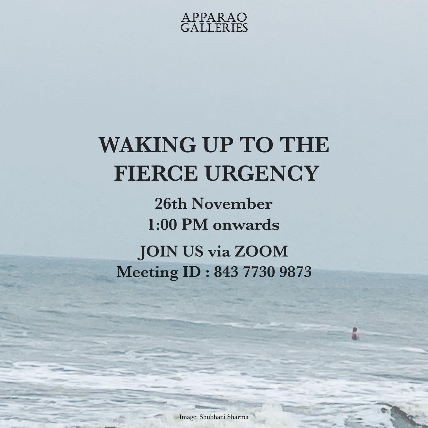 Waking Up To The Fierce Urgency | Apparao Galleries