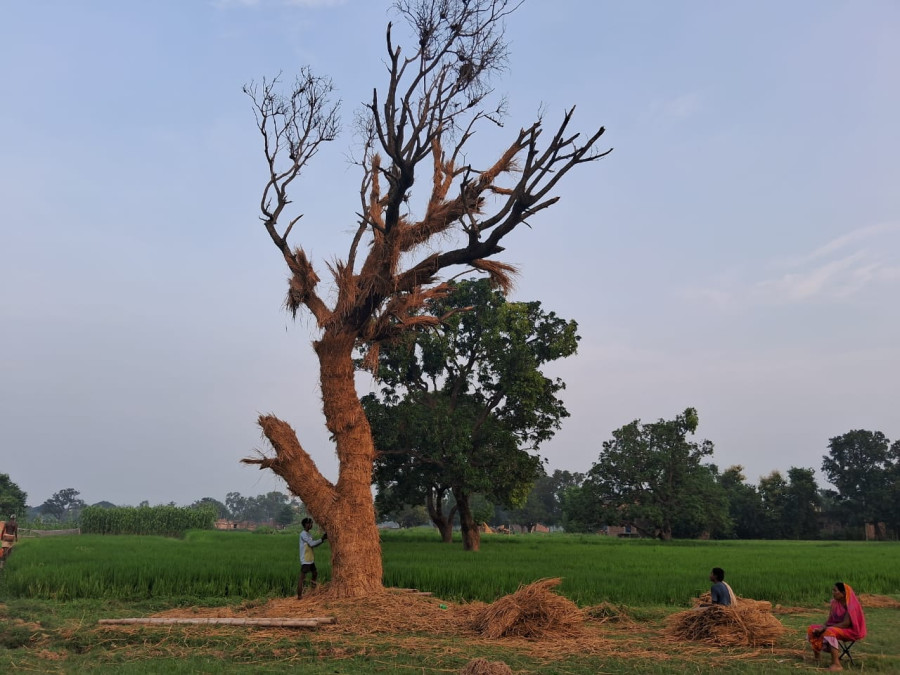 Time As A Mother: Serendipity Arts Festival 2023— Curated by Ravi Agarwal & Damian Christinger